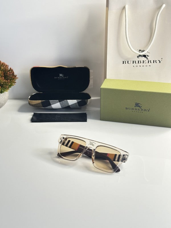 Burberry_4649_Water_Brown