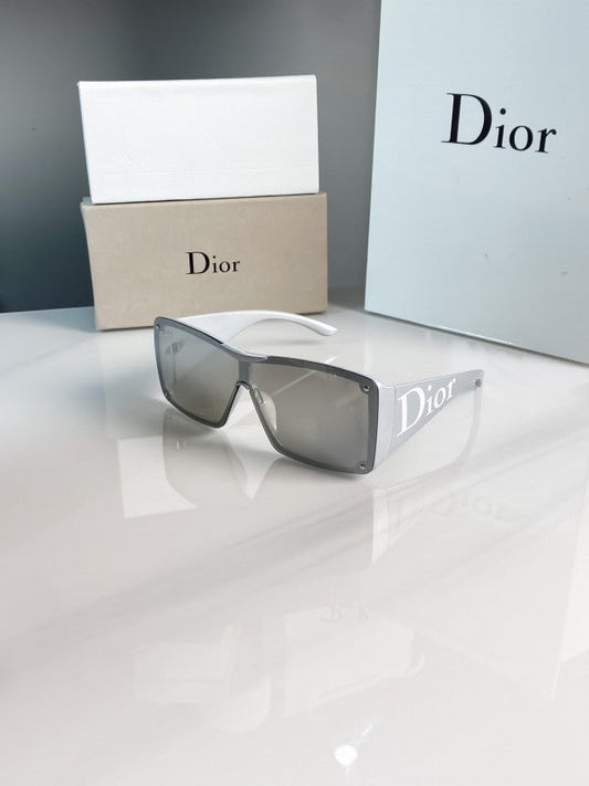 Dior_silver_7812