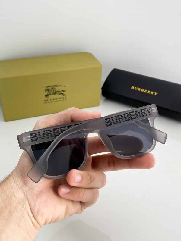 Burberry_grey_4358