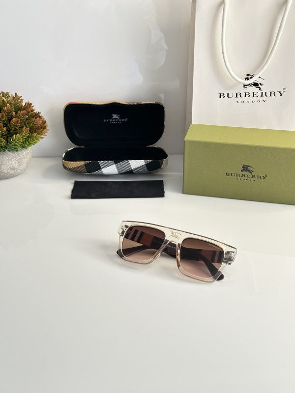 Burberry_4649_Water_Brown